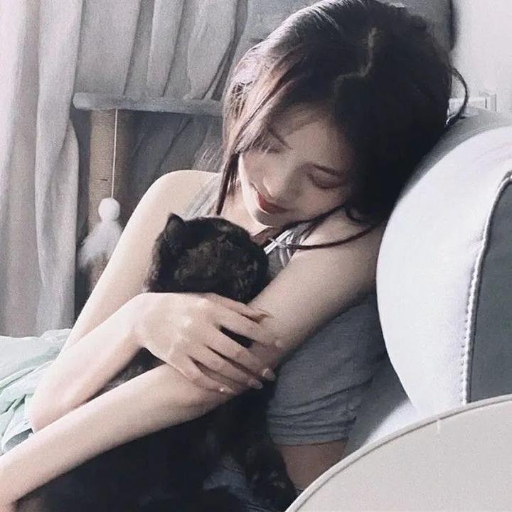 侠盗王子罗宾汉